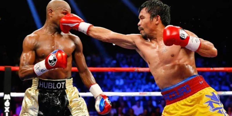 Cá cược quyền anh có nhiều giải đấu tham gia